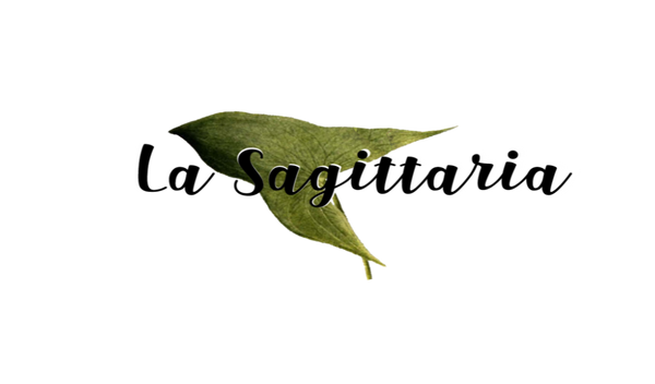 La Sagittaria